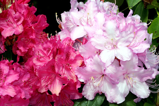 540089 (a): :2800x1867